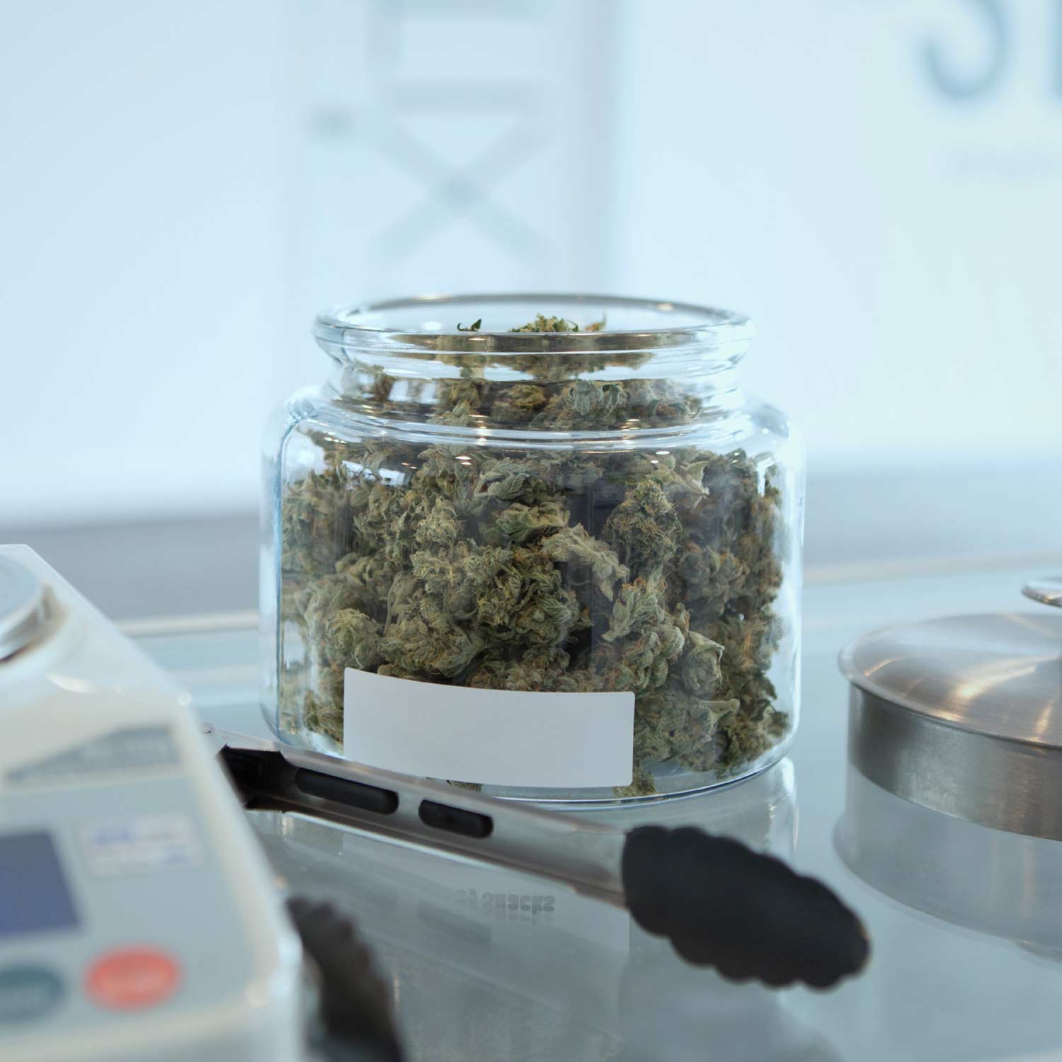 Vivamus sodales condimentum eros from weed Riverson Foods